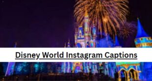 Disney World Instagram Captions
